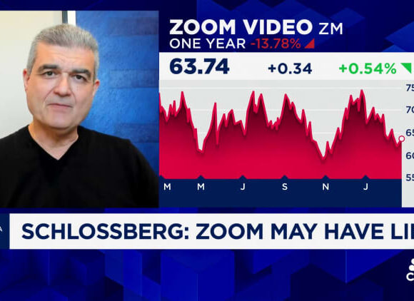 Boris Schlossberg on Zoom: 'It has a chance to really shine going forward'